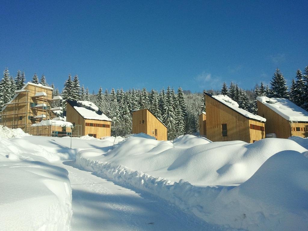 Natura Chalet Harrachov Exterior foto